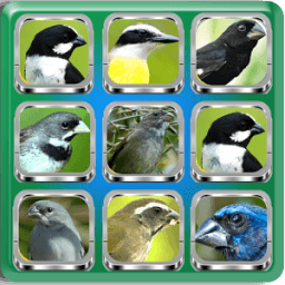 Birdsong Complete | Offline Audio icon