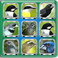 Birdsong Complete | Offline Audio on 9Apps