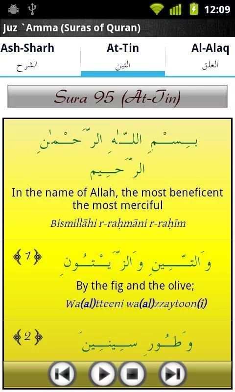Audio Pack (Al-Ghamidi) скриншот 1