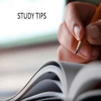 Study Tips