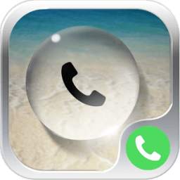 CSD PIP Theme 2.0