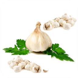 Health Benefits Of Garlic