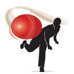 Cricket Bowling Tips Live Videos иконка