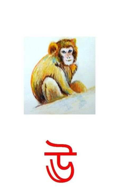 শিশু জন্য বর্ণমালা Bengali-ABC screenshot 2
