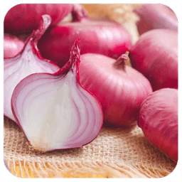 Health Benefits Of Onion