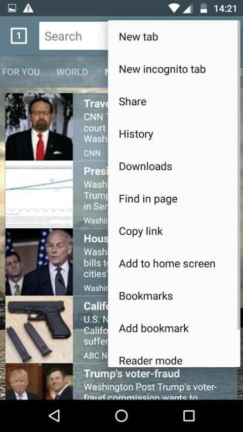 Reach Browser screenshot 1