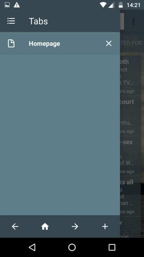 Reach Browser скриншот 3