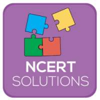 NCERT 10th Solutions
