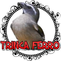 MARCHEADO DE TRINCA FERRO FÊME 1.1