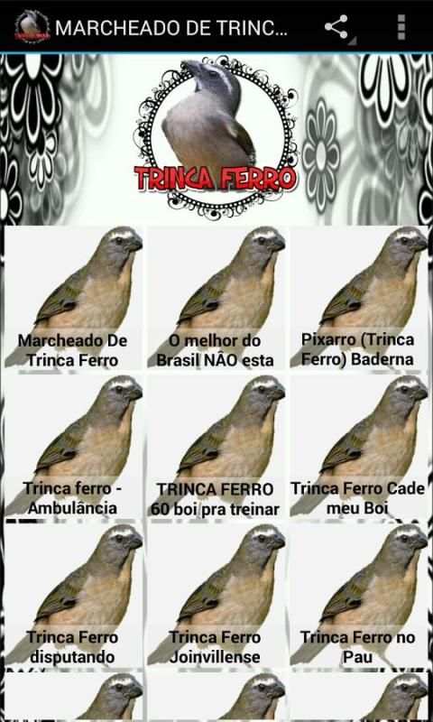 MARCHEADO DE TRINCA FERRO FÊMEA screenshot 1