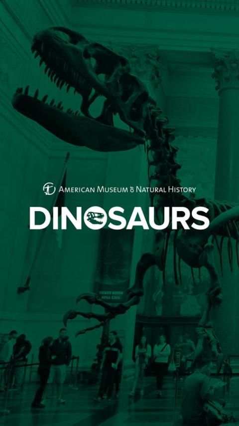 Dinosaurs - AMNH NYC screenshot 4
