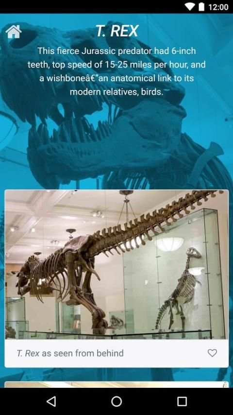 Dinosaurs - AMNH NYC screenshot 2