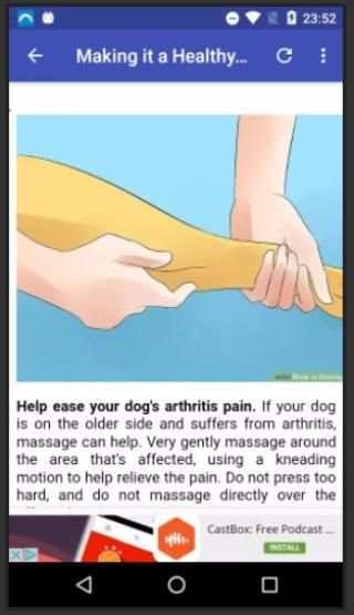 Massage a Dog 1 تصوير الشاشة