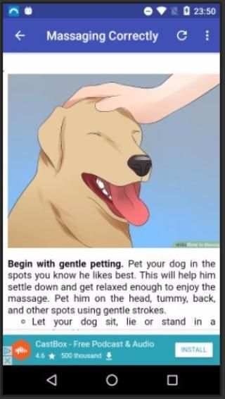 Massage a Dog 3 تصوير الشاشة