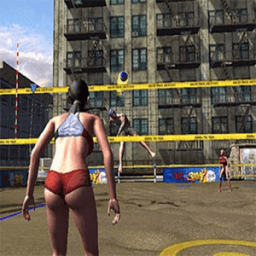 Volleyball Pro Tour 2016 icon