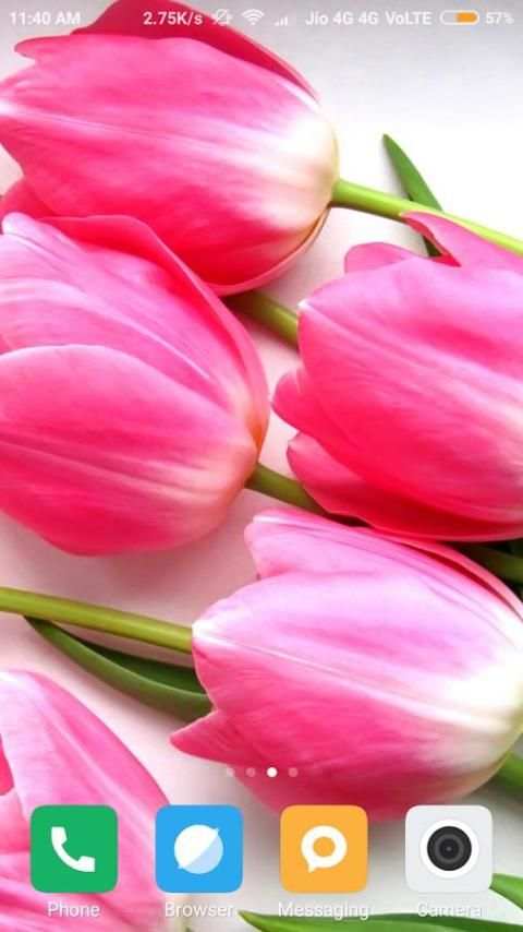 Tulips Flower Wallpaper screenshot 5