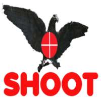 Shoot the angry bird