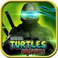 Turtles Ninja Graffiti Fight