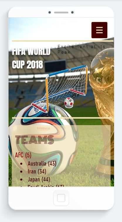 FIFA World Cup 2018 screenshot 3