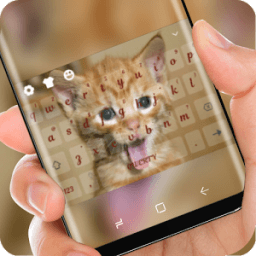 Little Cute Kitty Keyboard Kawaii Cat иконка