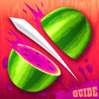 Guide for Fruit Ninja