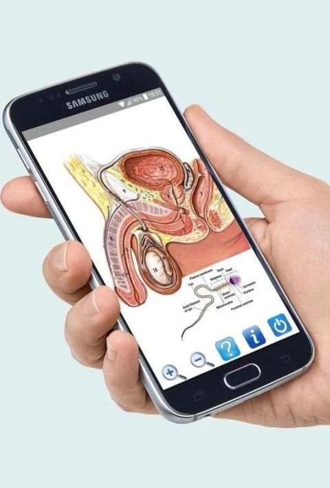 A to Z Anatomy 3D screenshot 5