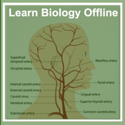 Learn Biology Offline - Free иконка