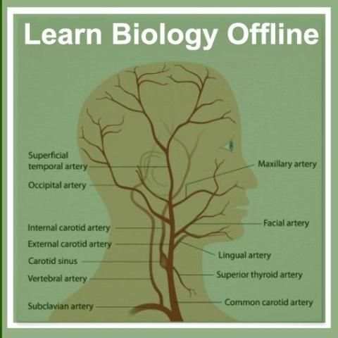 Learn Biology Offline - Free скриншот 1