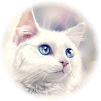White cat