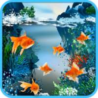 Real Fish Live Wallpaper on 9Apps