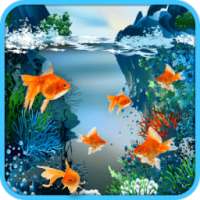 Real Fish Live Wallpaper