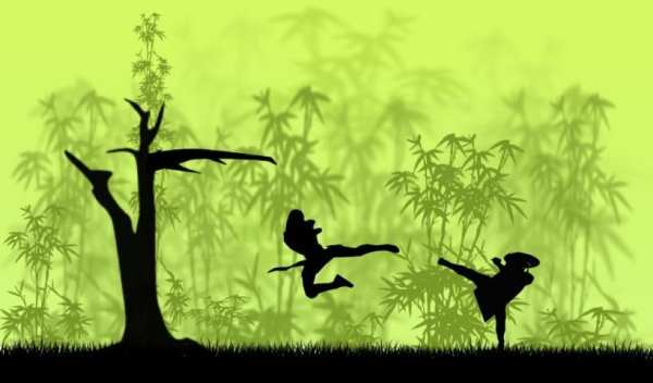 Tsukai Ninja 2: War Of Shadows screenshot 3