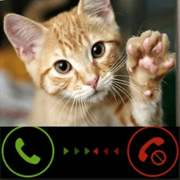 ikon Fake Call Kitty Cat