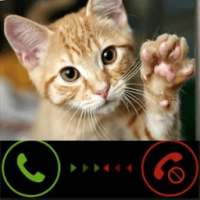Fake Call Kitty Cat