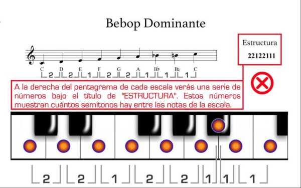 Escalas para Piano screenshot 7