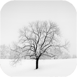 Simple Tree Drawing Tutorials иконка