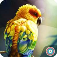 Birds Wallpaper HD Lockscreen