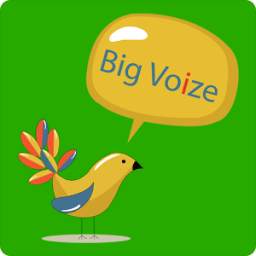 Big Voize