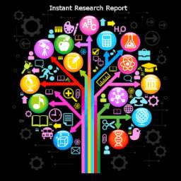 Instant Research Report