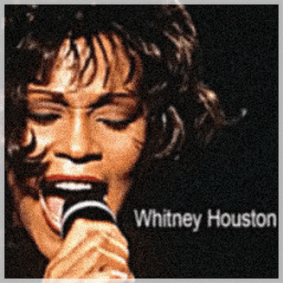 ikon Whitney Houston 'I Will Always Love You'