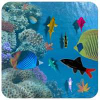 Aquarium Fishes Live Wallpaper on 9Apps