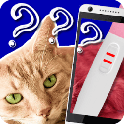 Тест Беременность Кошки Шутка иконка