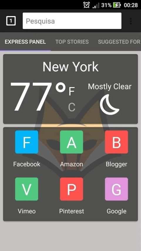 Fast Fox Browser screenshot 1