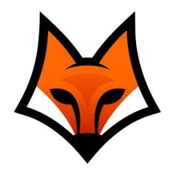 Fast Fox Internet 1.0