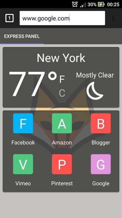 Fast Fox Browser screenshot 7