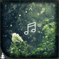 Rain sounds-Jungle on 9Apps