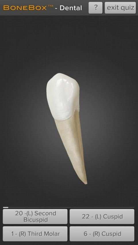 BoneBox™ - Dental Lite screenshot 2