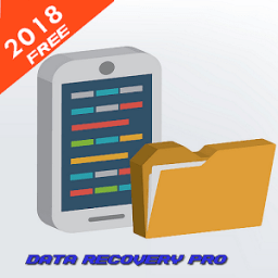 ikon Recovery Data Pro