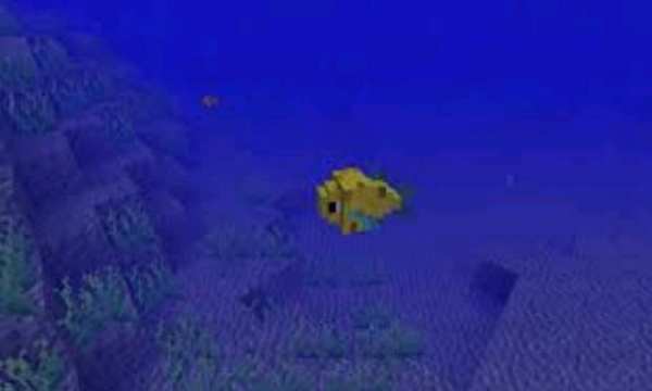 Fish Mod mcpe screenshot 2