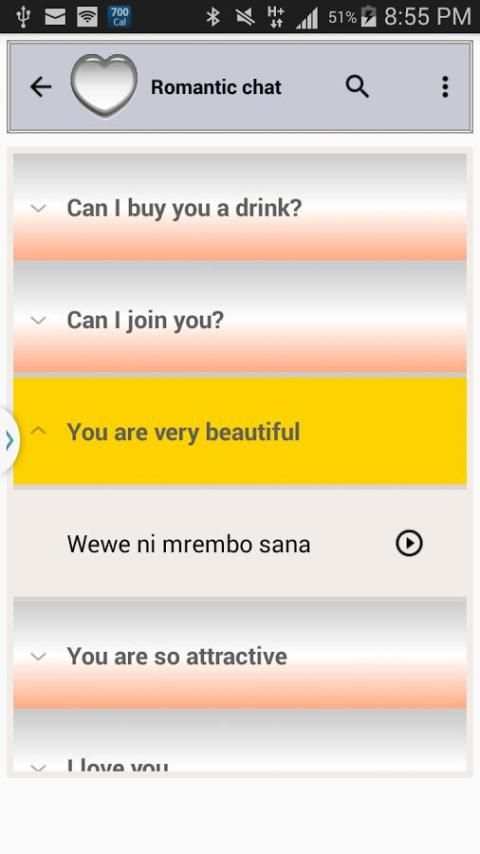 Swahili Travel Companion screenshot 7
